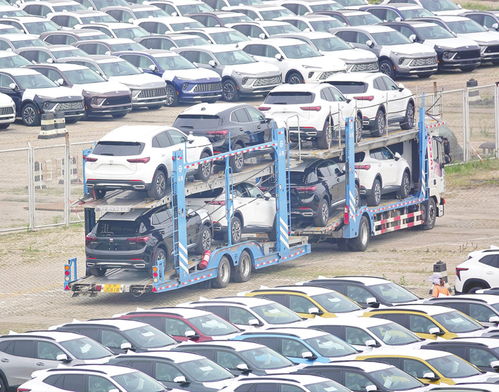 同比增6.1 上半年我國(guó)汽車銷售1404.7萬輛